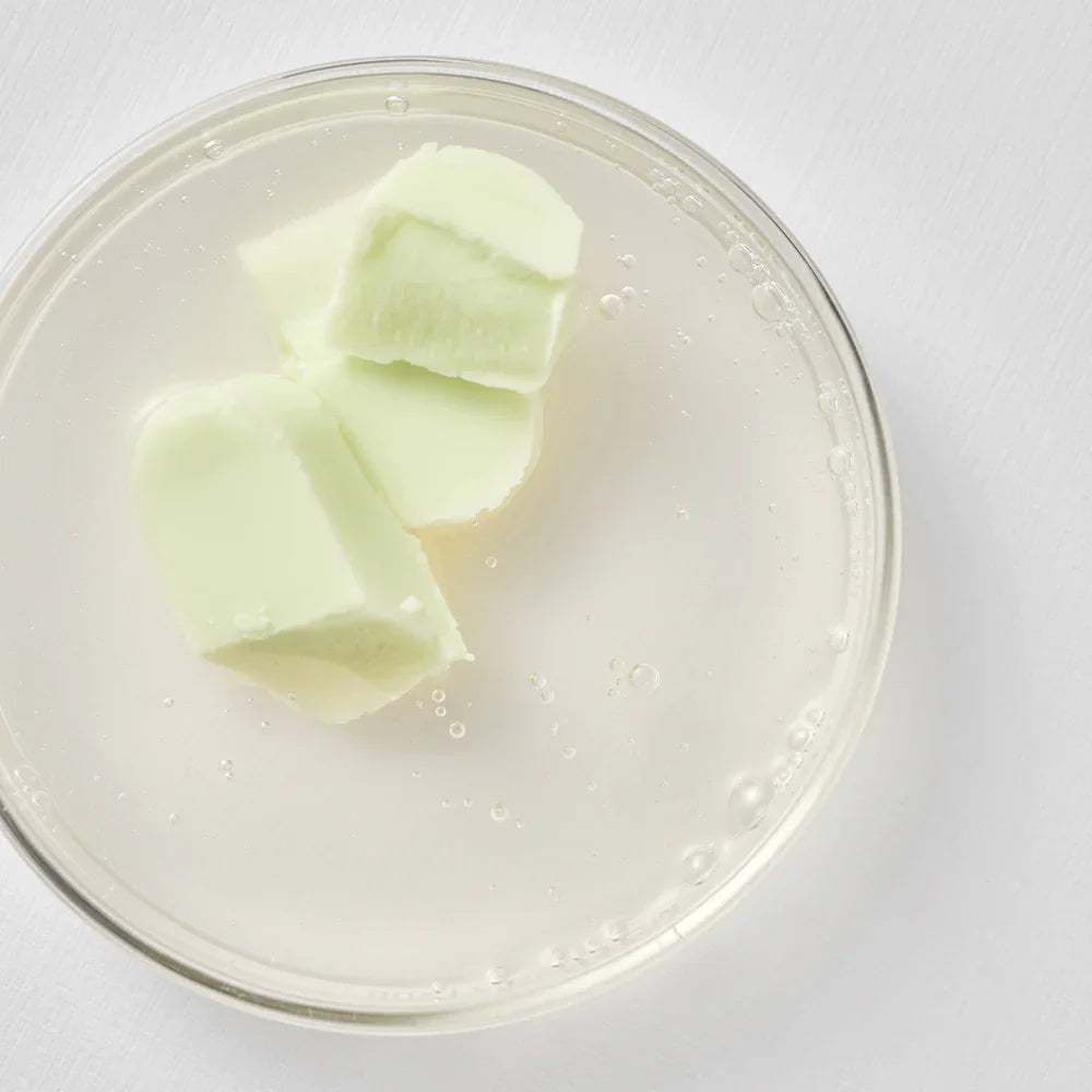 BEAUTY OF JOSEON | MATTE SUN STICK MUGWORT+ CAMELLIA SPF50+/PA+ 18gr - onnistyle.com